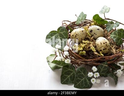 Wachteleier im Nest auf dem weißen Holztisch. Osterdekor Stockfoto