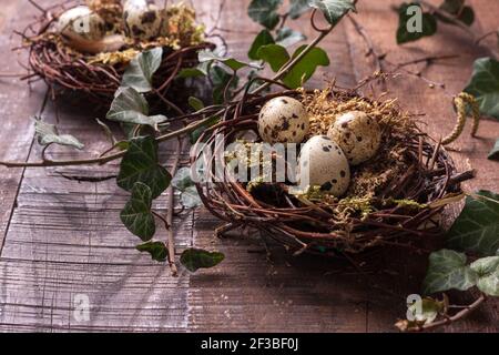 Wachteleier in Nestern auf dem rustikalen Holztisch. Osterdekor Stockfoto