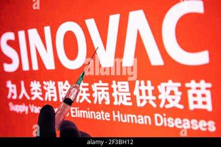 CLUJ-NAPOCA -RUMÄNIEN - MÄRZ 9 2021: Sinovac Impfstoff Covid-19 Konzept. Spritzennadel und Impfstoff, verschwommen Sinovac Firmenlogo auf dem Hintergrund. Stockfoto