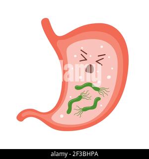 Helicobacter pylori im Magen. Kranker Magencharakter. Bakterium mit Flagella, die Gastritis verursacht. Stock Vektor