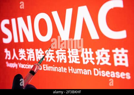 CLUJ-NAPOCA -RUMÄNIEN - MÄRZ 9 2021: Sinovac Impfstoff Covid-19 Konzept. Spritzennadel und Impfstoff, verschwommen Sinovac Firmenlogo auf dem Hintergrund. Stockfoto