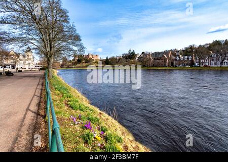 INVERNESS SCHOTTLAND FRÜHEN FRÜHLING MIT KROKUSSEN AN DEN UFERN VON DER FLUSS NESS Stockfoto