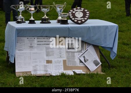 Moniavie Schafhund Trial Stockfoto