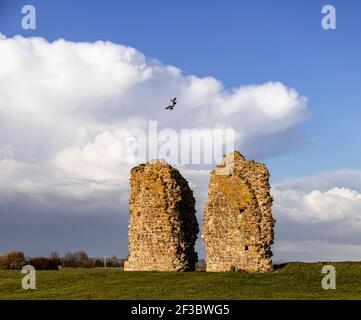 Hope All Saints Kirchenruinen mit zwei Falken fliegen darüber Auf dem Romney Marsh Kent South East England Stockfoto