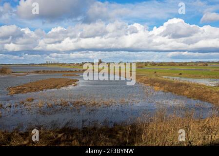 North Duffield Carrs, ein Feuchtgebiet Naturschutzgebiet im Lower Derwent Valley, North Yorkshire, England Stockfoto