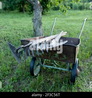 Grüne Metall Schubkarre voller Holz gehandelten Gartengeräte in einem Garten. Stockfoto