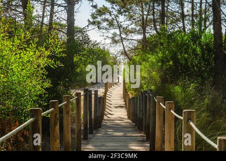 Hölzerne Fußgängerbrücke, die zum ‘Praia do Camarido’ führt, über die Küstendünen in Viana do Castelo, Portugal Stockfoto