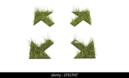 3D gerendertes Grasfeld mit bunten Blumen in Form von Symbol der Pfeile erweitern mit Erde isoliert auf weißem Hintergrund Stockfoto