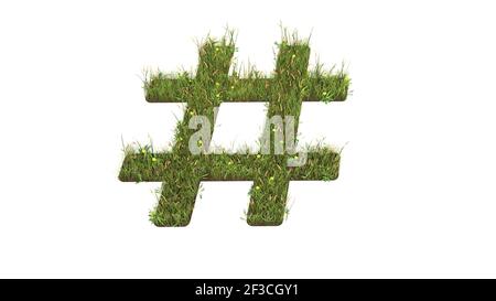 3D gerendertes Grasfeld mit bunten Blumen in Form von Symbol des Hashtag-Symbols mit Erde isoliert auf weißem Hintergrund Stockfoto