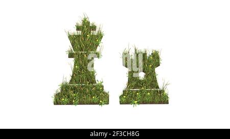 3D gerendertes Grasfeld mit bunten Blumen in Form von Symbol des Schachkönigs und der Rook-Figuren mit isoliertem Boden Auf weißem Hintergrund Stockfoto