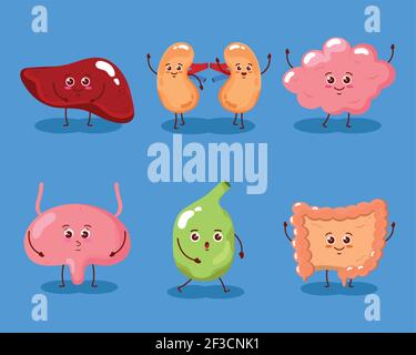 Niedliche sechs Organe Stock Vektor