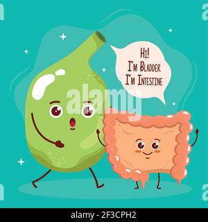 Zwei niedliche Organe Stock Vektor