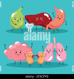 Sieben niedliche Organe Stock Vektor