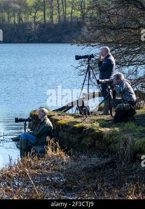 Linlithgow, Großbritannien. März 2021, 16th. Frühlingswetter: Vogelbeobachter fotografieren die Grebes, während sie ihren Balztanz auf dem Linlithgow loch in Linlithgow, Schottland, vorführen. Im Frühjahr zeigten Great Crested Grebes auf einer spektakulären Ausstellung auf Seen, Stauseen und Kiesgruben über den größten Teil des Vereinigten Königreichs. Beide Geschlechter wachsen schwarze und orange Gesichtskräuselchen und schwarze Ohrbüschel, die als tippets bekannt sind, die sie in einer speziellen Zeremonie verwenden, um ihre Bindungen in der Brutzeit zu etablieren. Quelle: Ian Rutherford/Alamy Live News Stockfoto