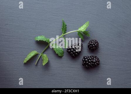 Flache Aufnahme von drei Brombeeren und kleinem grünen Zweig auf grauem texturiertem Hintergrund. Vitamine in frischen Früchten Konzept. Stockfoto