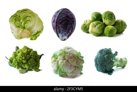 Verschiedene Kohl isoliert auf weißem Hintergrund. Rosenkohl, Brokkoli, Kohl Romanesco, Blumenkohl, Weißkohl auf Weiß. Gemüse isoliert Stockfoto