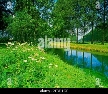 Frankreich, das Flussufer, Stockfoto