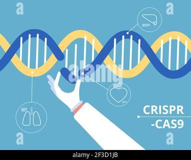 CRISPR Cas9 Konzept. Biochemische Technik medizinische Genforschung Mutation Biologie dna-Modifikation Vektor Hintergrund Stock Vektor