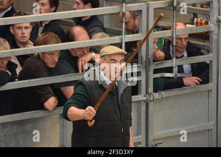 Willie Dunlop verkauft in Dalmally, Argyll, Schottland Stockfoto