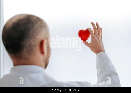 Doktor schaut auf das kleine rote Herz in seinen Händen. Stockfoto