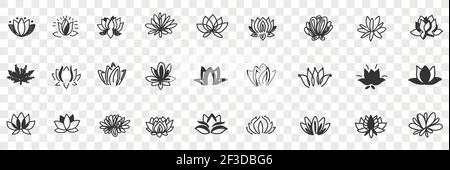 Lotus Blumen Muster Doodle Set. Sammlung von handgezeichneten natürlichen floralen Muster von blühenden Lotusblumen in Reihen isoliert auf transparentem Hintergrund Stock Vektor