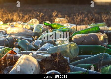 Glasstreu auf dem Land Stockfoto