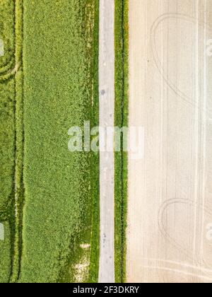 Draufsicht auf eine schmale, hellgraue alte Asphaltstraße, die zwischen Feldern führt. Führen Sie ein vertikal geteiltes Foto auf zwei Hälften mit unterschiedlicher Feldfarbe. Stockfoto