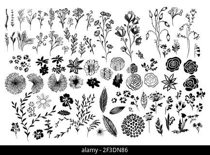 Ein Set aus monochromen floralen Elementen. Vektorgrafik Stock Vektor