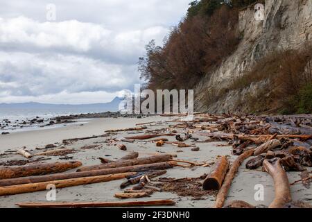 Thormanby Island ist eine wunderschöne Insel vor der Sunshine Coast in British Columbia. Es ist nur von Secret Cove aus mit dem Boot zu erreichen und bietet wunderschönen Sand Stockfoto