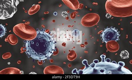 COVID-19 . Coronavirus schwimmt auf dem Blutstrom mit roten Blutkörperchen und weißen Blutkörperchen fließt in Gefäß . Mikroskopische Ansicht von Viren und menschlichen Zellen Stockfoto