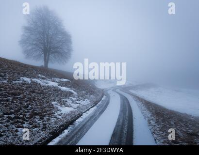 Neblige Winterlandschaft. Eisbedeckte Straße, die durch schneebedeckte Landschaft winkt. Stimmungsvolles Foto. Stockfoto