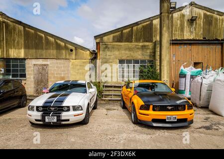 Ein Paar von 2006 Ford Mustangs auf dem Display Lenwade Industrial Estate, Norfolk, Großbritannien. Stockfoto