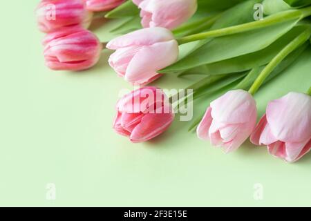 Bouquet von rosa Tulpen auf grün.Nahaufnahme. Grußkarte für Muttertag. Stockfoto