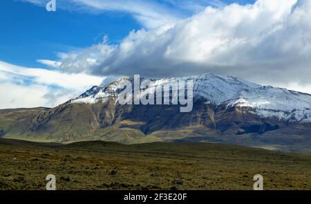 Anden in Argentinien Patagonien Stockfoto