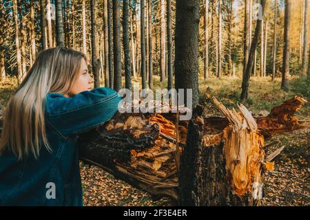 Ein Mädchen sitzt auf einem abgesägten Baumstamm in einem grünen Wald. Stockfoto