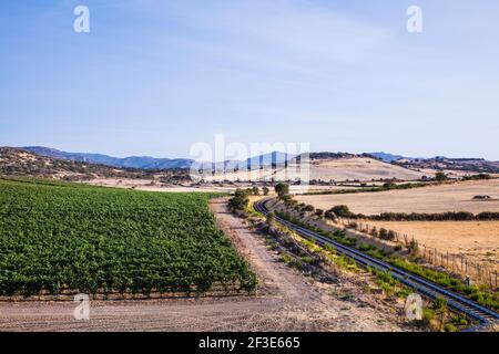 Eine Landschaft mit Blick auf einen Weinberg in Sardinien mit einer Eisenbahn Rechts von den Weinfeldern Stockfoto