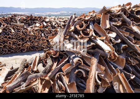 Trocknungsstreifen von Korkrinde Stockfoto