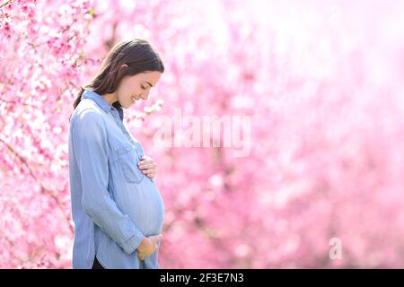 Seitenansicht Porträt einer glücklichen schwangeren Frau in blau In einem rosa blühenden Feld auf ihren Bauch schauend Stockfoto