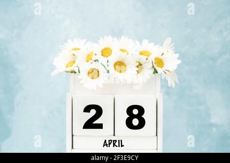 White Cube Kalender für April mit Gänseblümchen über blau Hintergrund mit Kopierbereich Stockfoto