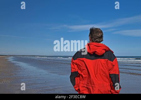 Mann in roter Jacke blickt über West Sands Beach in St Andrews Schottland an einem sonnigen Tag mit blauem Himmel. Obere Hälfte des Mannes sichtbar, von hinten genommen. Stockfoto