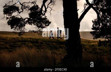 BRIAN UND SHEILA JONES BEIM SPAZIERGANG IM WALD VON BOWLAND,17/9/04 PILSTON Stockfoto