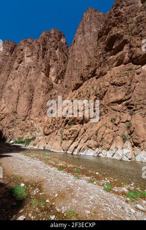 Todgha-Schlucht, Marokko - 13. April 2016: Blick auf die Todgha-Schlucht, in der Region des Hohen Atlasgebirges von Marokko. Stockfoto