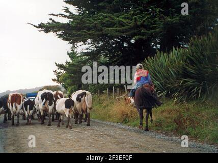 Patagonien Chile. Ancud, Chiloé Island (gescannt von Farblider) Stockfoto