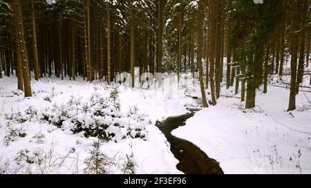 Landschaftlich schöner Blick auf eine Winterlandschaft Stockfoto