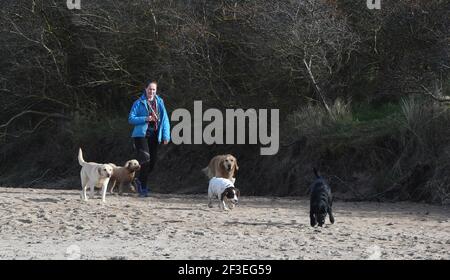 Gullane, East Lothian . Schottland Großbritannien 16th. März 21. Genießen Sie die gute Wetter Hund Spaziergänger auf Gullane Strand. Kredit: eric mccowat/Alamy Live Nachrichten Stockfoto