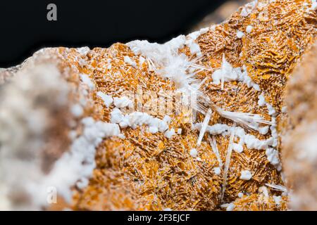 Detail aus orangefarbenem und weißem Aragonit mit Kristallhaufen auf schwarzem Hintergrund. Nahaufnahme der schönen Textur von Mineral aus Calciumcarbonat. Stockfoto