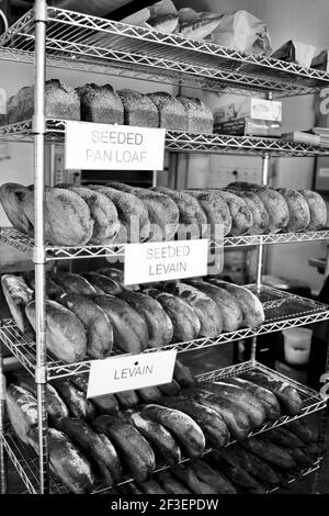 Handwerkliche Bäckerei mit Boulted Bread in Raleigh, North Carolina. Gegründet im August 2014 von Joshua Bellamy, Sam Kirkpatrick und Fulton Forde. Stockfoto