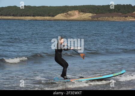 Gullane, East Lothian . Schottland Großbritannien 16th. März 21. Bei gutem Wetter trifft ein Stand Up Paddlebarder am Gullane Beach auf die Wellen. Kredit: eric mccowat/Alamy Live Nachrichten Stockfoto