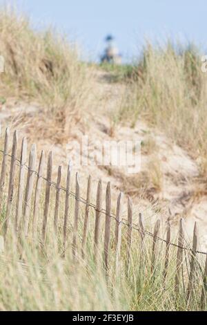 Holzzaun in den Dünen unterhalt des Leuchtturms vom Cap Carteret, Normandie Stockfoto