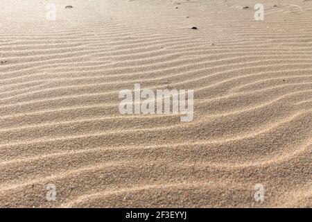 Schöne goldene Sandkräusel am Strand. Sanddüne. Muster auf goldenem Sand. Sandkräusel Hintergrund. Strandsand in Sardinien Italien aufgenommen. Stockfoto